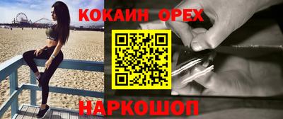 индика Новодвинск