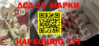 индика Новодвинск