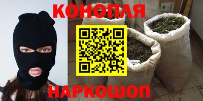 индика Новодвинск