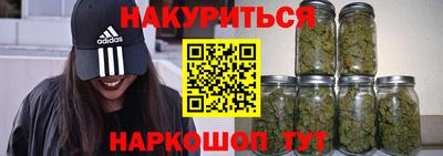 индика Новодвинск