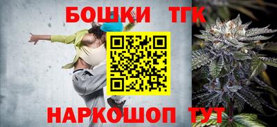 индика Новодвинск