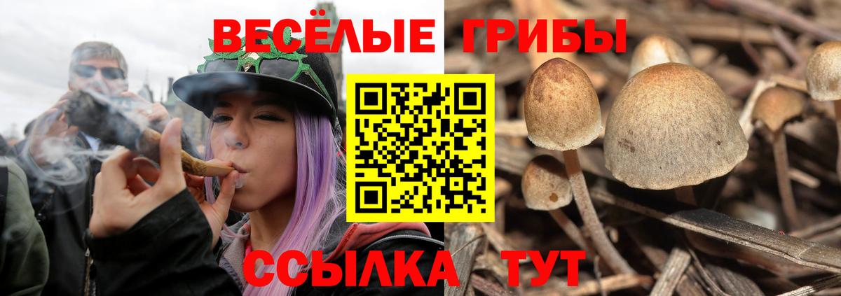 Галлюциногенные грибы мицелий Тула